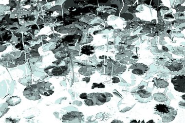 Nilüfer yaprakları, zarif arkaplan deseni