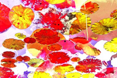 Nilüfer yaprakları, zarif arkaplan deseni