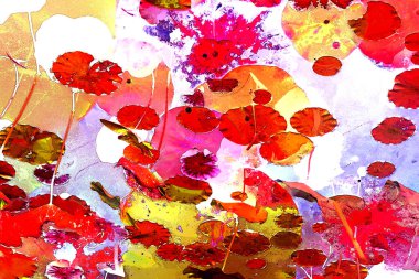 Nilüfer yaprakları, zarif arkaplan deseni