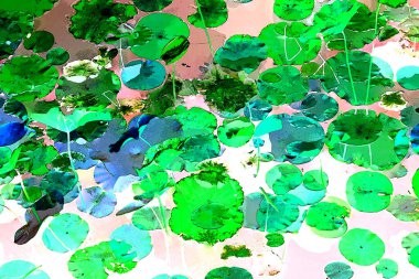 Nilüfer yaprakları, zarif arkaplan deseni