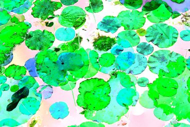 Nilüfer yaprakları, zarif arkaplan deseni