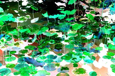 Nilüfer yaprakları, zarif arkaplan deseni