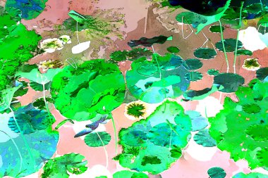 Nilüfer yaprakları, zarif arkaplan deseni