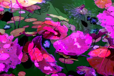 Nilüfer yaprakları, zarif arkaplan deseni