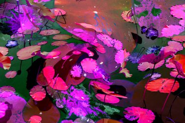 Nilüfer yaprakları, zarif arkaplan deseni