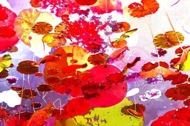 Nilüfer yaprakları, zarif arkaplan deseni