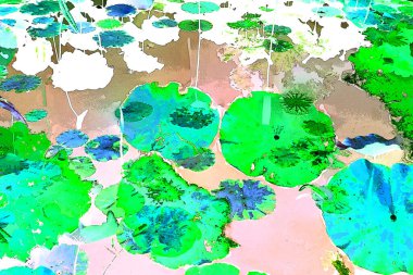 Nilüfer yaprakları, zarif arkaplan deseni