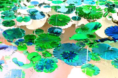 Nilüfer yaprakları, zarif arkaplan deseni