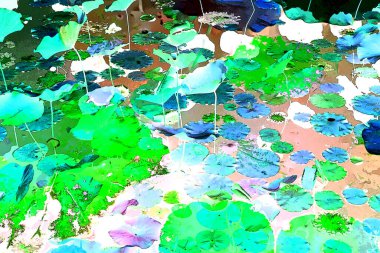 Nilüfer yaprakları, zarif arkaplan deseni