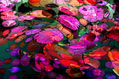 Nilüfer yaprakları, zarif arkaplan deseni