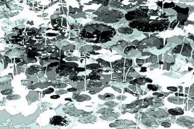 Nilüfer yaprakları, zarif arkaplan deseni