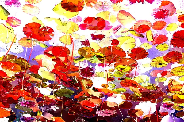 Nilüfer yaprakları, zarif arkaplan deseni