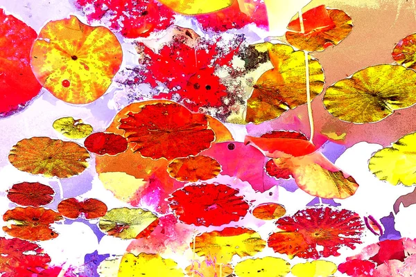 Nilüfer yaprakları, zarif arkaplan deseni