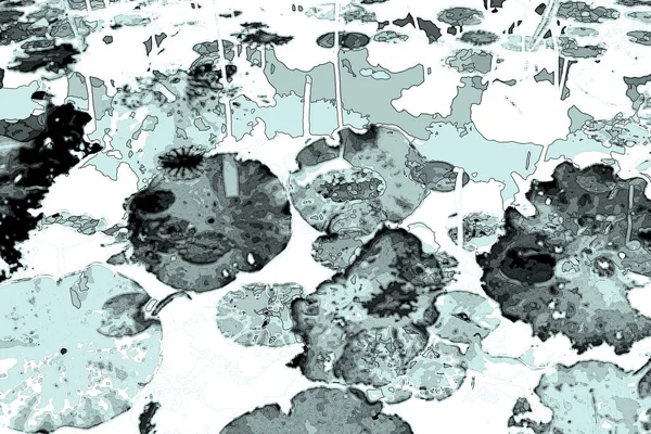 Nilüfer yaprakları, zarif arkaplan deseni