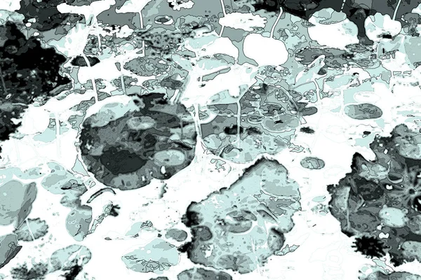 Nilüfer yaprakları, zarif arkaplan deseni