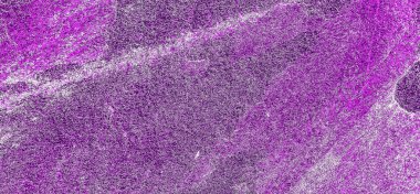 Kırsal taşlar, paslanmış dokular, renkli ve ilginç arka planlar ve büyüleyici dokular, web tasarımı ve soyut arkaplanlar için kullanılır.