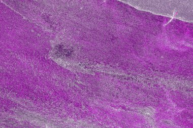 Kırsal taşlar, paslanmış dokular, renkli ve ilginç arka planlar ve büyüleyici dokular, web tasarımı ve soyut arkaplanlar için kullanılır.