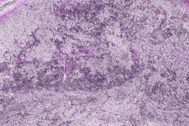 Kırsal taşlar, paslanmış dokular, renkli ve ilginç arka planlar ve büyüleyici dokular, web tasarımı ve soyut arkaplanlar için kullanılır.