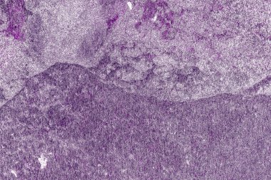 Kırsal taşlar, paslanmış dokular, renkli ve ilginç arka planlar ve büyüleyici dokular, web tasarımı ve soyut arkaplanlar için kullanılır.