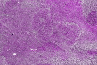 Kırsal taşlar, paslanmış dokular, renkli ve ilginç arka planlar ve büyüleyici dokular, web tasarımı ve soyut arkaplanlar için kullanılır.