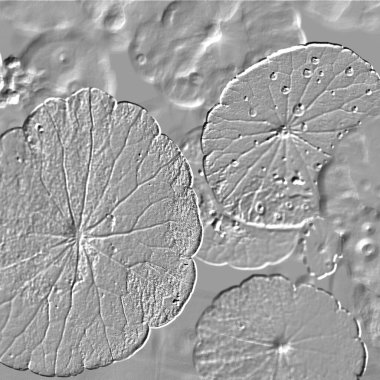 Seramik duvarın ve yerdeki fayansların dokusu. İç dekorasyon. 3 boyutlu grafikler için kusursuz doku haritası. Duvar kağıdı, tekstil, web sayfası arkaplanı.
