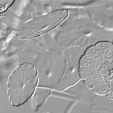 Seramik duvarın ve yerdeki fayansların dokusu. İç dekorasyon. 3 boyutlu grafikler için kusursuz doku haritası. Duvar kağıdı, tekstil, web sayfası arkaplanı.
