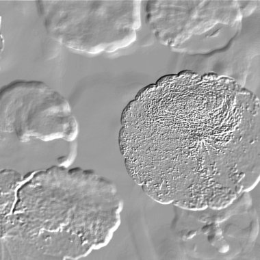 Seramik duvarın ve yerdeki fayansların dokusu. İç dekorasyon. 3 boyutlu grafikler için kusursuz doku haritası. Duvar kağıdı, tekstil, web sayfası arkaplanı.