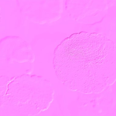 Seramik duvarın ve yerdeki fayansların dokusu. İç dekorasyon. 3 boyutlu grafikler için kusursuz doku haritası. Duvar kağıdı, tekstil, web sayfası arkaplanı.