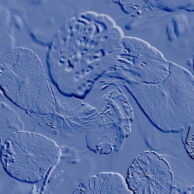 Seramik duvarın ve yerdeki fayansların dokusu. İç dekorasyon. 3 boyutlu grafikler için kusursuz doku haritası. Duvar kağıdı, tekstil, web sayfası arkaplanı.