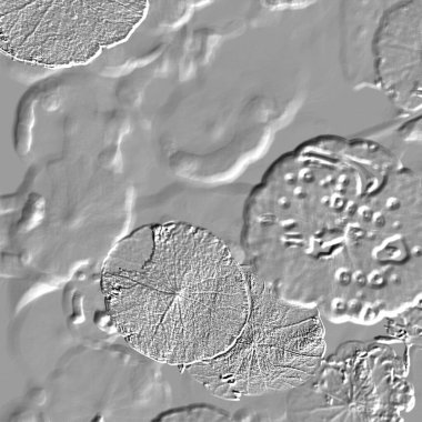 Seramik duvarın ve yerdeki fayansların dokusu. İç dekorasyon. 3 boyutlu grafikler için kusursuz doku haritası. Duvar kağıdı, tekstil, web sayfası arkaplanı.