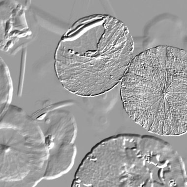 Seramik duvarın ve yerdeki fayansların dokusu. İç dekorasyon. 3 boyutlu grafikler için kusursuz doku haritası. Duvar kağıdı, tekstil, web sayfası arkaplanı.