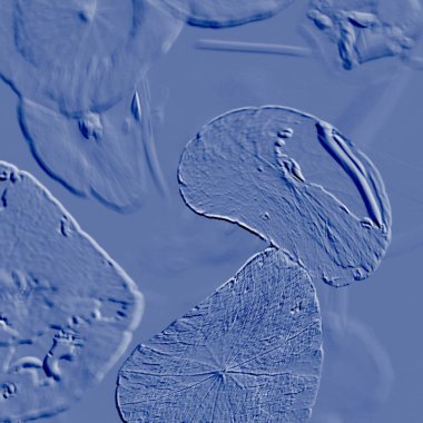 Seramik duvarın ve yerdeki fayansların dokusu. İç dekorasyon. 3 boyutlu grafikler için kusursuz doku haritası. Duvar kağıdı, tekstil, web sayfası arkaplanı.