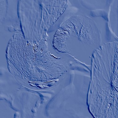 Seramik duvarın ve yerdeki fayansların dokusu. İç dekorasyon. 3 boyutlu grafikler için kusursuz doku haritası. Duvar kağıdı, tekstil, web sayfası arkaplanı.