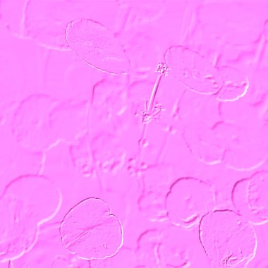 Seramik duvarın ve yerdeki fayansların dokusu. İç dekorasyon. 3 boyutlu grafikler için kusursuz doku haritası. Duvar kağıdı, tekstil, web sayfası arkaplanı.