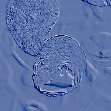 Seramik duvarın ve yerdeki fayansların dokusu. İç dekorasyon. 3 boyutlu grafikler için kusursuz doku haritası. Duvar kağıdı, tekstil, web sayfası arkaplanı.