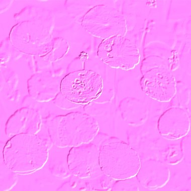 Seramik duvarın ve yerdeki fayansların dokusu. İç dekorasyon. 3 boyutlu grafikler için kusursuz doku haritası. Duvar kağıdı, tekstil, web sayfası arkaplanı.