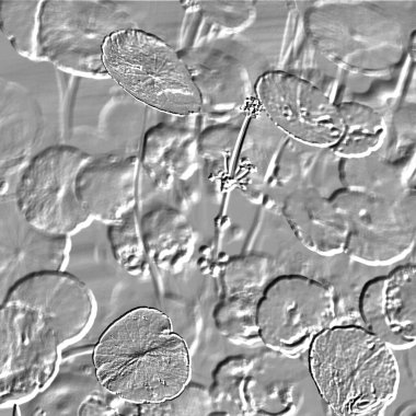 Seramik duvarın ve yerdeki fayansların dokusu. İç dekorasyon. 3 boyutlu grafikler için kusursuz doku haritası. Duvar kağıdı, tekstil, web sayfası arkaplanı.