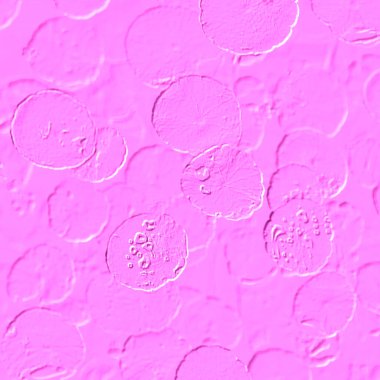 Seramik duvarın ve yerdeki fayansların dokusu. İç dekorasyon. 3 boyutlu grafikler için kusursuz doku haritası. Duvar kağıdı, tekstil, web sayfası arkaplanı.