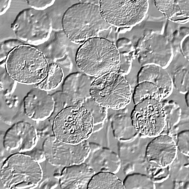 Seramik duvarın ve yerdeki fayansların dokusu. İç dekorasyon. 3 boyutlu grafikler için kusursuz doku haritası. Duvar kağıdı, tekstil, web sayfası arkaplanı.