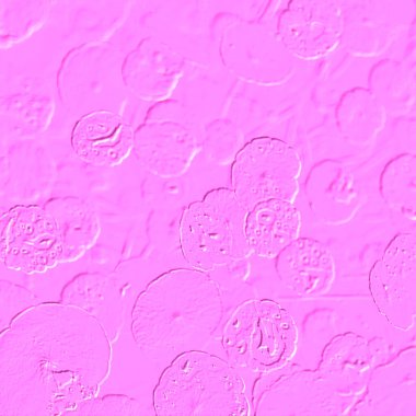 Seramik duvarın ve yerdeki fayansların dokusu. İç dekorasyon. 3 boyutlu grafikler için kusursuz doku haritası. Duvar kağıdı, tekstil, web sayfası arkaplanı.