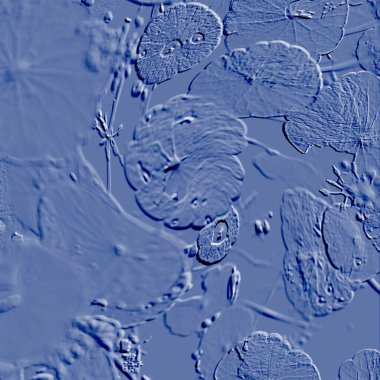 Seramik duvarın ve yerdeki fayansların dokusu. İç dekorasyon. 3 boyutlu grafikler için kusursuz doku haritası. Duvar kağıdı, tekstil, web sayfası arkaplanı.