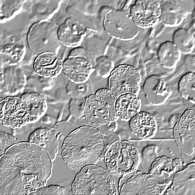 Seramik duvarın ve yerdeki fayansların dokusu. İç dekorasyon. 3 boyutlu grafikler için kusursuz doku haritası. Duvar kağıdı, tekstil, web sayfası arkaplanı.