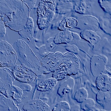 Seramik duvarın ve yerdeki fayansların dokusu. İç dekorasyon. 3 boyutlu grafikler için kusursuz doku haritası. Duvar kağıdı, tekstil, web sayfası arkaplanı.