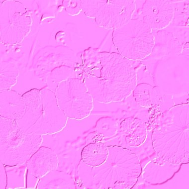 Seramik duvarın ve yerdeki fayansların dokusu. İç dekorasyon. 3 boyutlu grafikler için kusursuz doku haritası. Duvar kağıdı, tekstil, web sayfası arkaplanı.