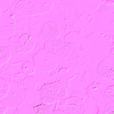 Seramik duvarın ve yerdeki fayansların dokusu. İç dekorasyon. 3 boyutlu grafikler için kusursuz doku haritası. Duvar kağıdı, tekstil, web sayfası arkaplanı.