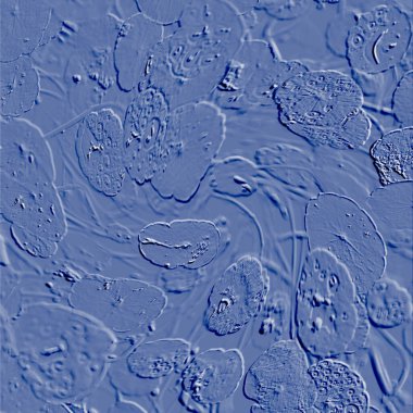 Seramik duvarın ve yerdeki fayansların dokusu. İç dekorasyon. 3 boyutlu grafikler için kusursuz doku haritası. Duvar kağıdı, tekstil, web sayfası arkaplanı.