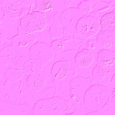 Seramik duvarın ve yerdeki fayansların dokusu. İç dekorasyon. 3 boyutlu grafikler için kusursuz doku haritası. Duvar kağıdı, tekstil, web sayfası arkaplanı.