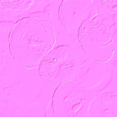 Seramik duvarın ve yerdeki fayansların dokusu. İç dekorasyon. 3 boyutlu grafikler için kusursuz doku haritası. Duvar kağıdı, tekstil, web sayfası arkaplanı.