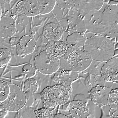 Seramik duvarın ve yerdeki fayansların dokusu. İç dekorasyon. 3 boyutlu grafikler için kusursuz doku haritası. Duvar kağıdı, tekstil, web sayfası arkaplanı.