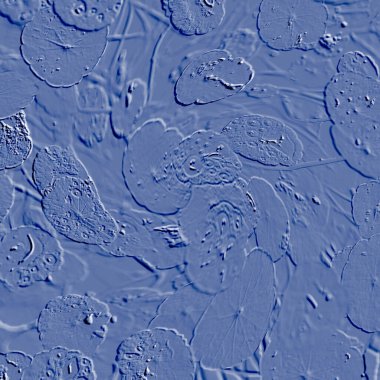 Seramik duvarın ve yerdeki fayansların dokusu. İç dekorasyon. 3 boyutlu grafikler için kusursuz doku haritası. Duvar kağıdı, tekstil, web sayfası arkaplanı.